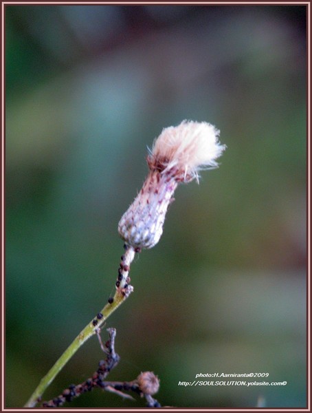 --never alone...