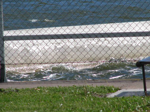 WINDY SEA