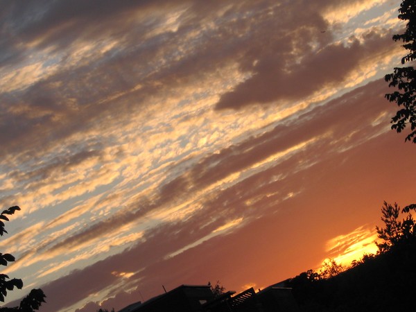 SUNSETS