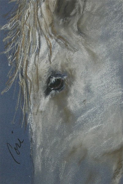 Western Dreamer