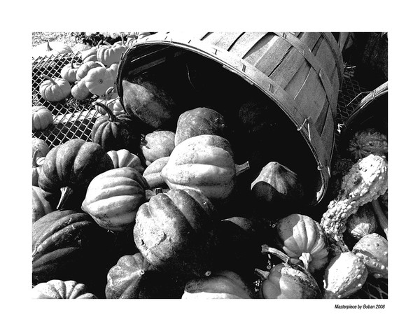 PUMPKINS