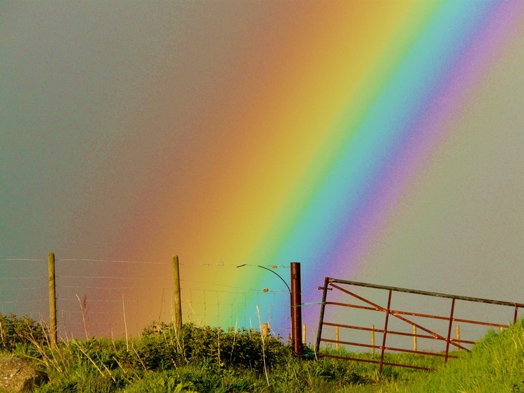 Rainbow Magic