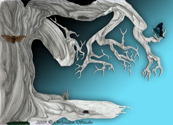 WynTree0101-3 Twitter Background