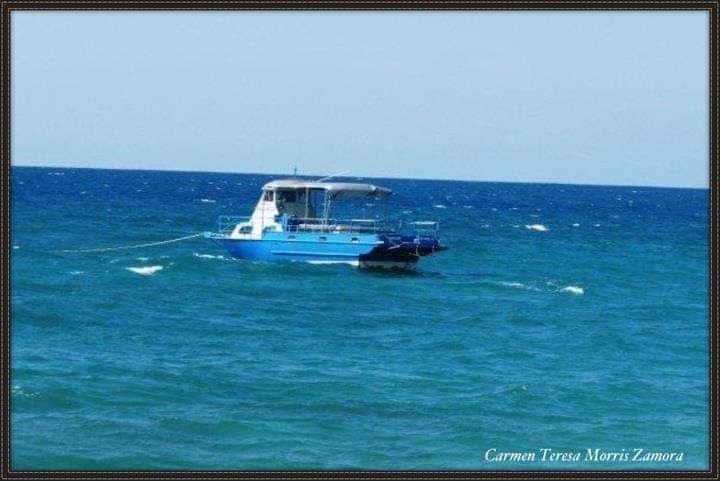 The Boat Near the Coast