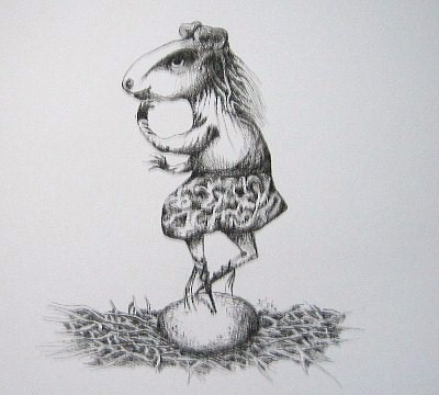 Anna Capibara