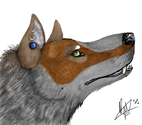 Le woof