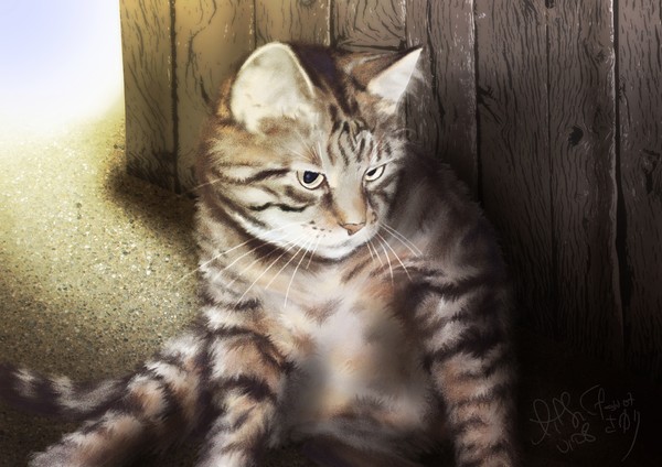 Kitty