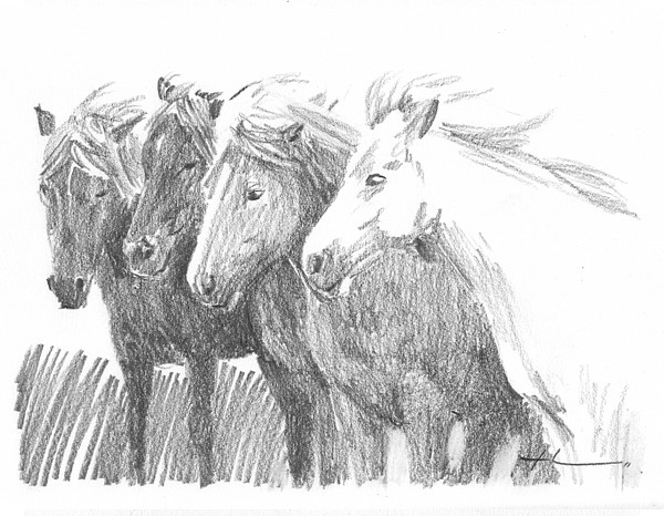 childrens book drawing8 mike theuer