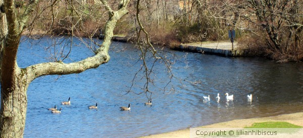 Happy Spring Day
