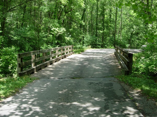 Wooden Bridge