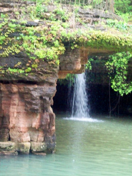 Ozark Beauty