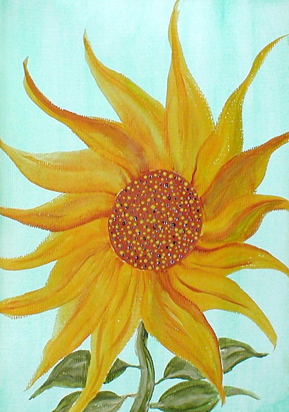 Sunflower 1