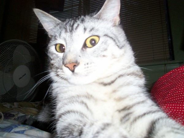 Oliver scared of the camera
