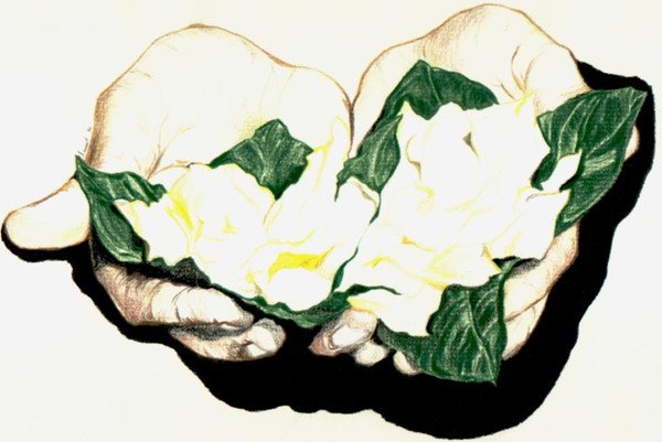 when a man brings you flowers