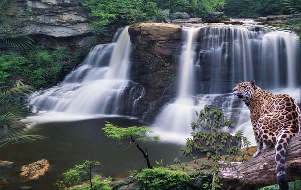 1059-Jaguar Waterfalls
