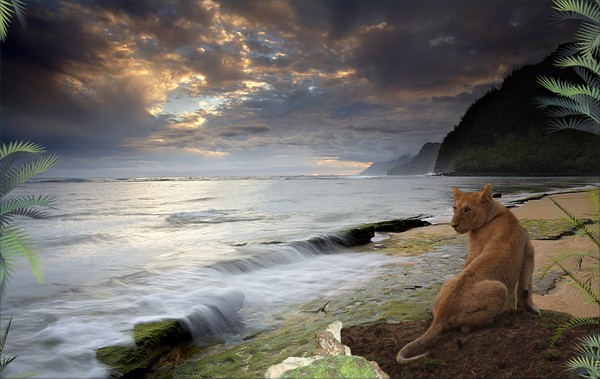 1137-Coastal Benin Sunrise