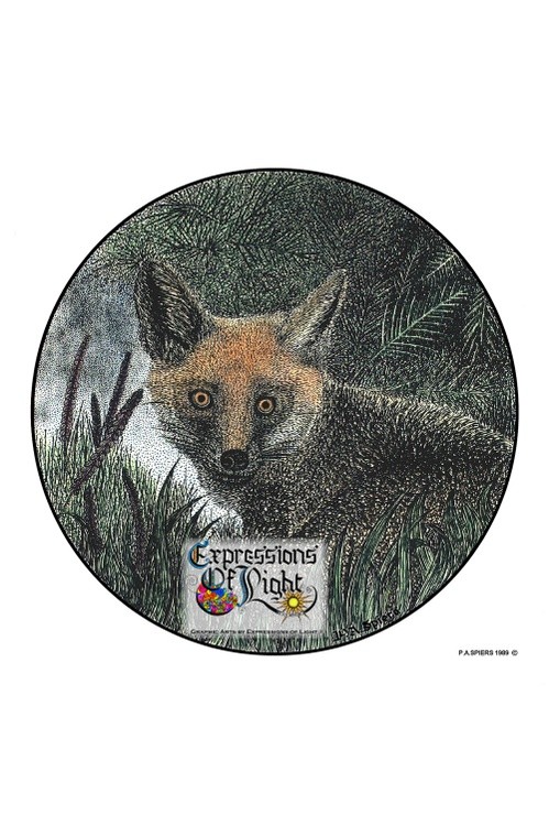 ExpoLight-Graphic-Arts-Fox-1989-0001 (Pen-&-Ink-Coloured-SP)