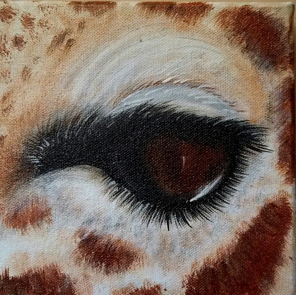 Eye Of The Giraffe 3