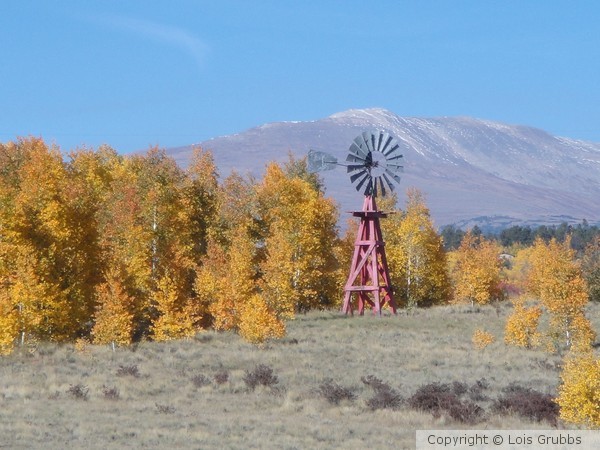 2011 Fall Scenery