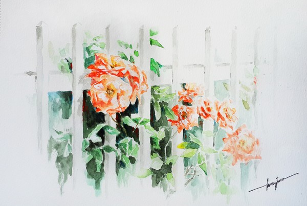 Roses