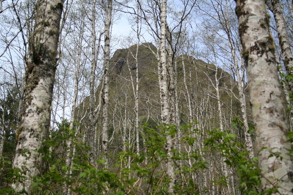 Picture_036