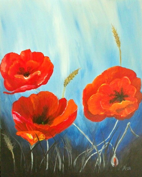 Poppies