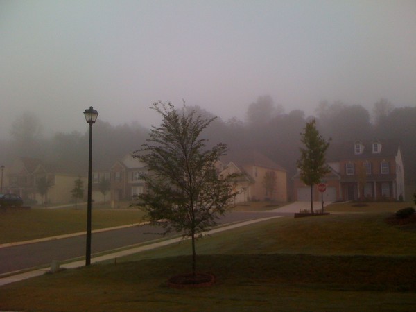 Misty Morning!!