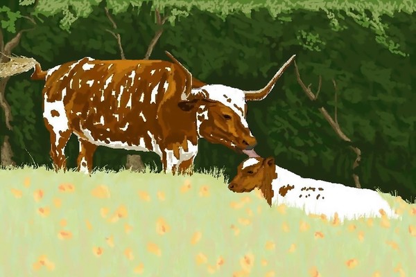 Tender Moment