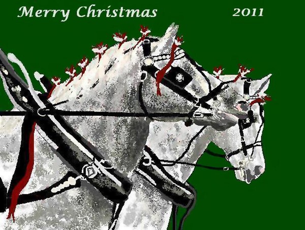 Merry Christmas 2011