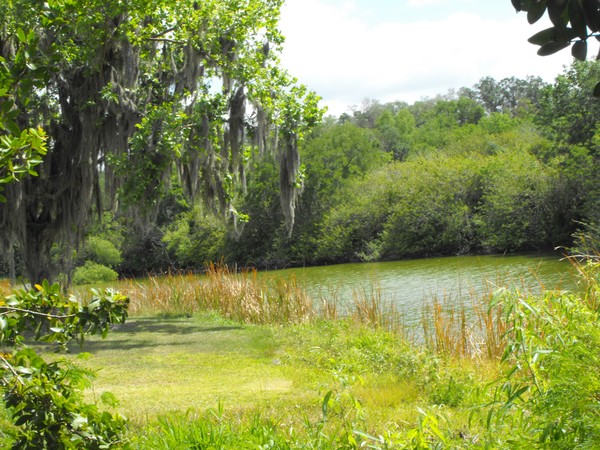 Saddle Creek Park