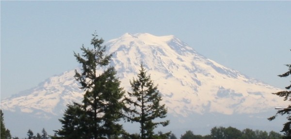 Mt. Rainier