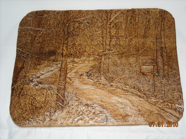 Snowy Woods