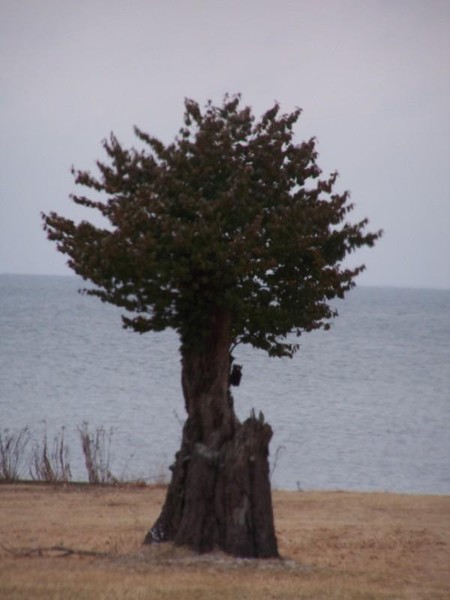 new life, coming from an end