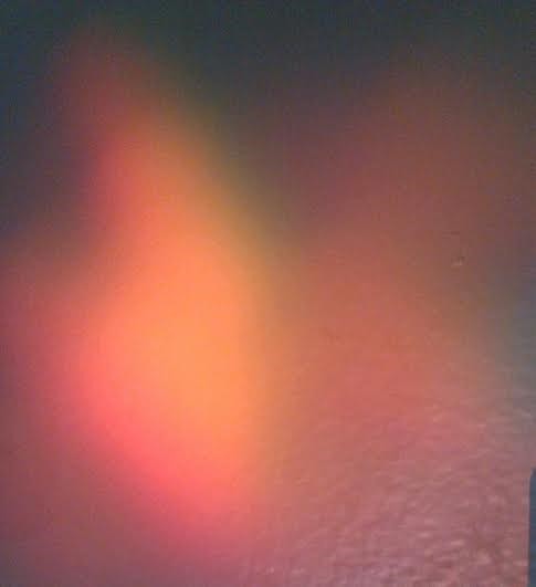 butterfly shadow