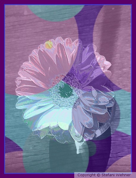 abstract floral