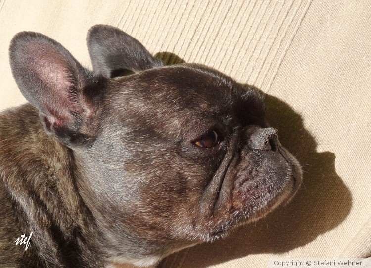 enjoying the spring sun