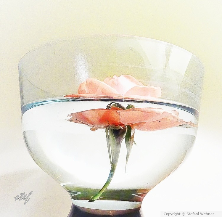 transparency
