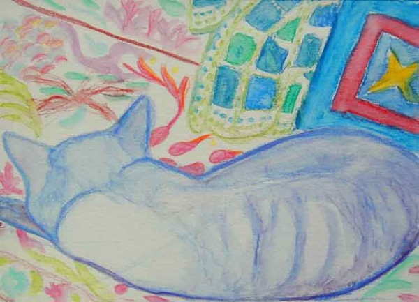 Blue cat nap