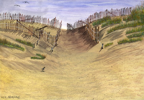 Cape_Cod_Fence