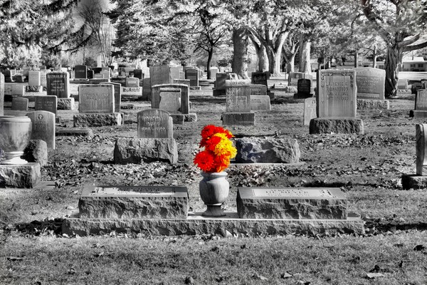 A Moment of Colour