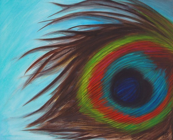 Peacock Feather