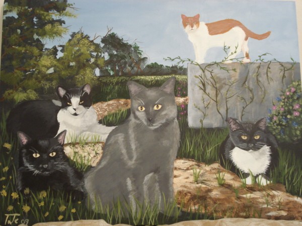 Felines in the Field