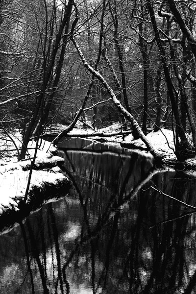 Winter Reflections B&W