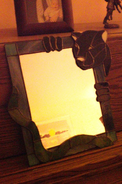 Panther and snake mirror