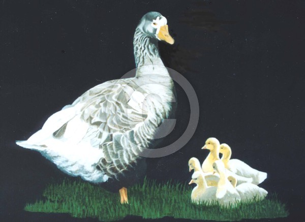 Goose