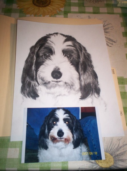 linda's dog