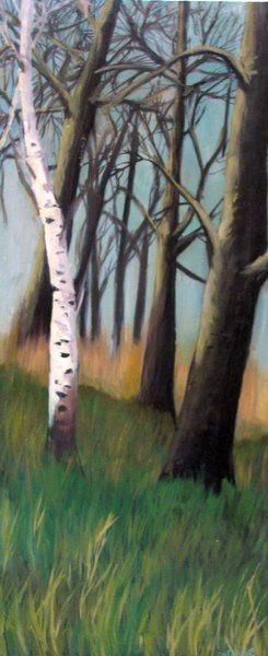 16x38'