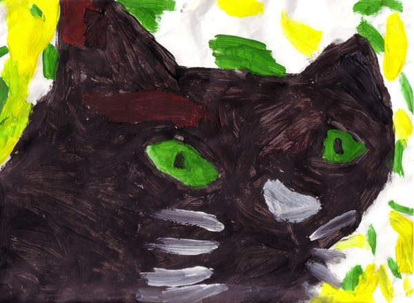 Black cat