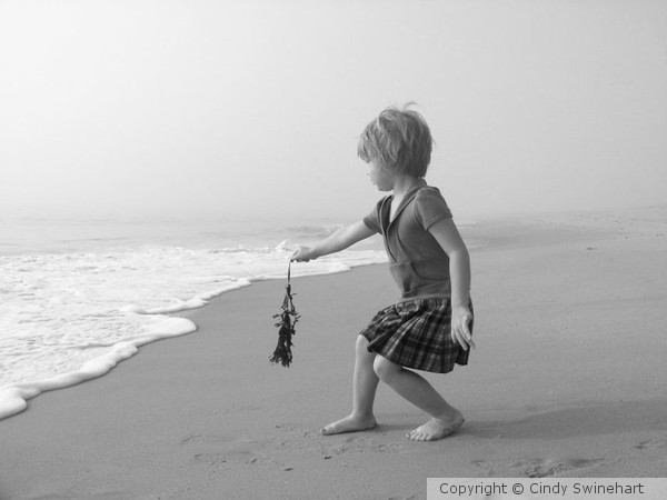 Back to the ocean