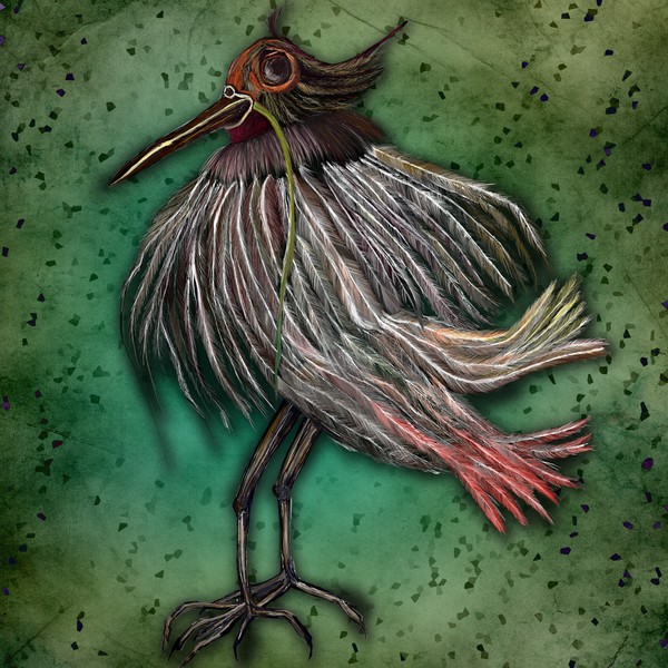 Blind Bird